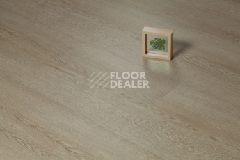 Tarkett Funky House Ricon фото 6 | FLOORDEALER